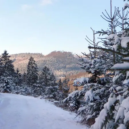 Gemuetliche Am Waldrand شقة إسلوهي