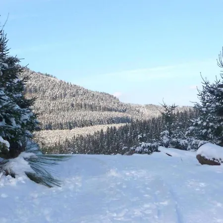 Gemuetliche Am Waldrand إسلوهي