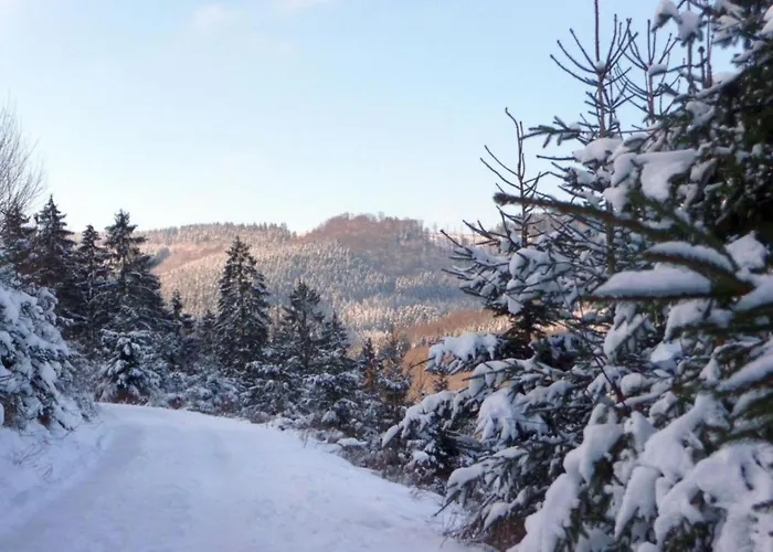 Gemuetliche Am Waldrand 公寓 埃斯洛黑