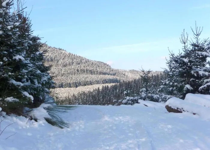 Gemuetliche Am Waldrand Eslohe