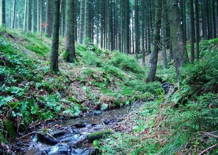 Gemuetliche Am Waldrand Apartment *